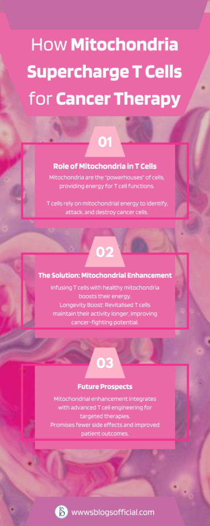 How Mitochondria Supercharge T Cells for Cancer Therapy