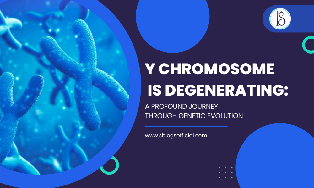 Y Chromosome is Degenerating: A Profound Journey Through Genetic Evolution