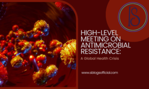 High-Level Meeting on Antimicrobial Resistance: A Global Health Crisis