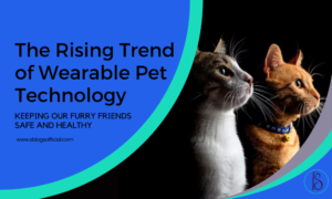 The Rising Trend of Wearable Pet Technology: Keeping Our Furry Friends Safe and Healthy