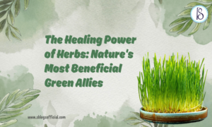 The Healing Power of Herbs: Nature's Most Beneficial Green Allies