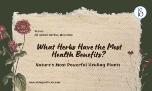 What Herbs Have the Most Health Benefits?