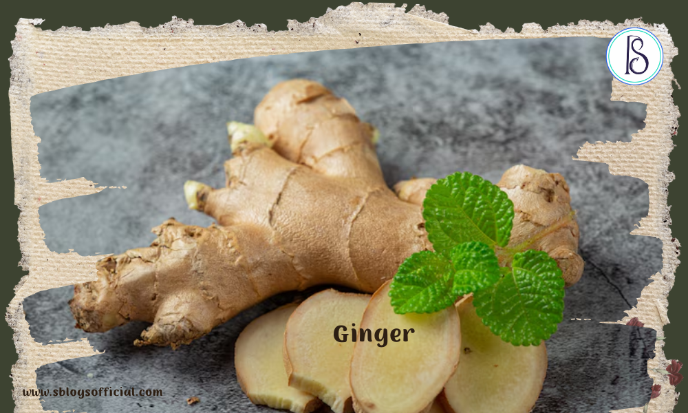 Herb- Ginger