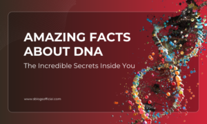 Amazing Facts About DNA: The Incredible Secrets Inside You