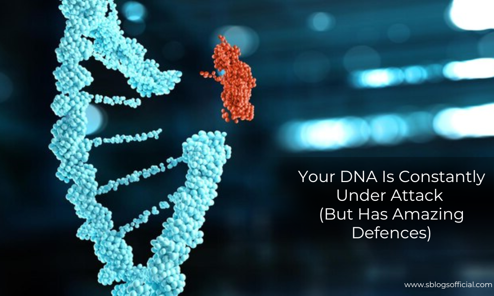 Your DNA Is Constantly Under Attack (But Has Amazing Defences)