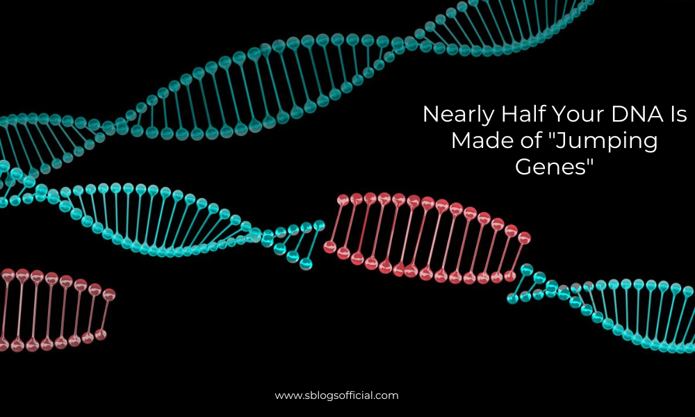 Amazing Facts About DNA that Nearly Half Your DNA Is Made of "Jumping Genes"