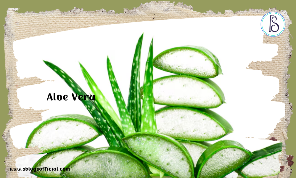 Aloe Vera as a herb for hair growth