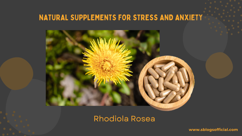 Best Natural stress Supplement- Rhodiola Rosea