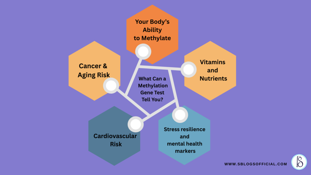 What Can a Methylation Gene Test Tell You?
