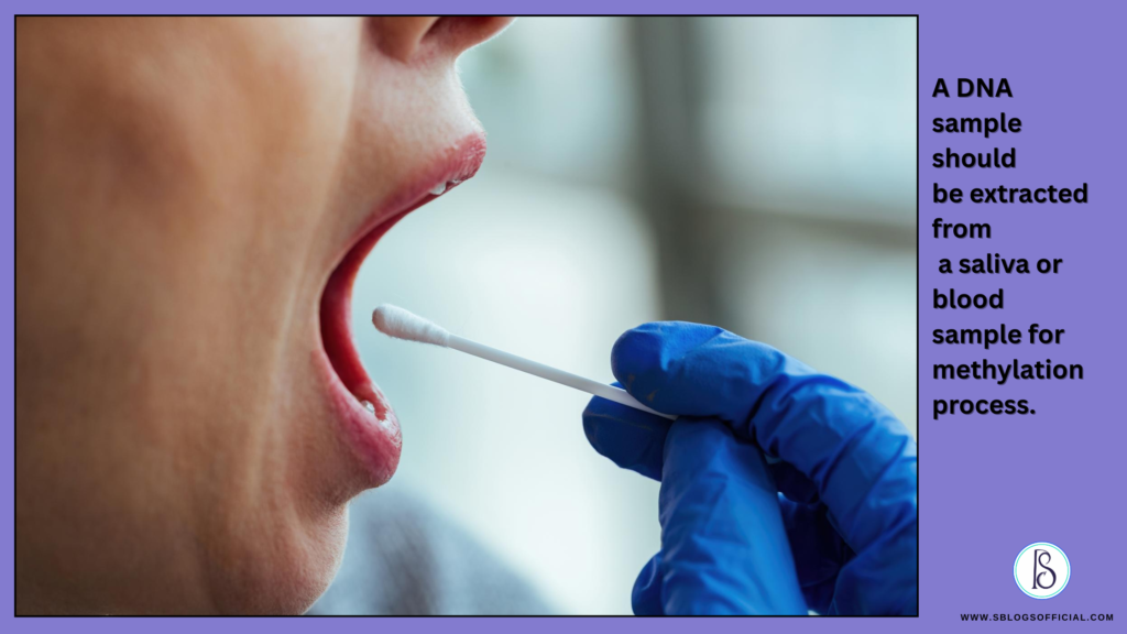 A DNA sample should be extracted from a saliva or blood sample for methylation process.