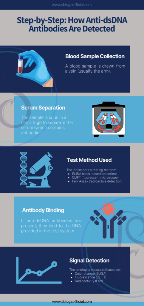 What Is a DNA Antibody Blood Test: Step-by-step: How Anti-dsDNA Antibodies are Detected