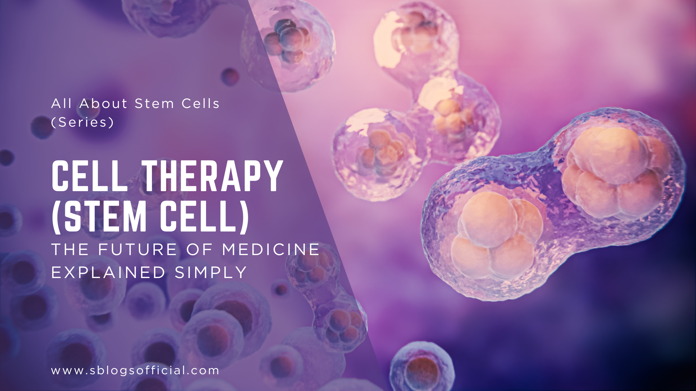 Cell Therapy (Stem Cell): The Future of Medicine Explained Simply