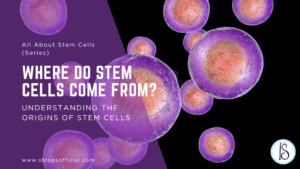 Where Do Stem Cells Come From?