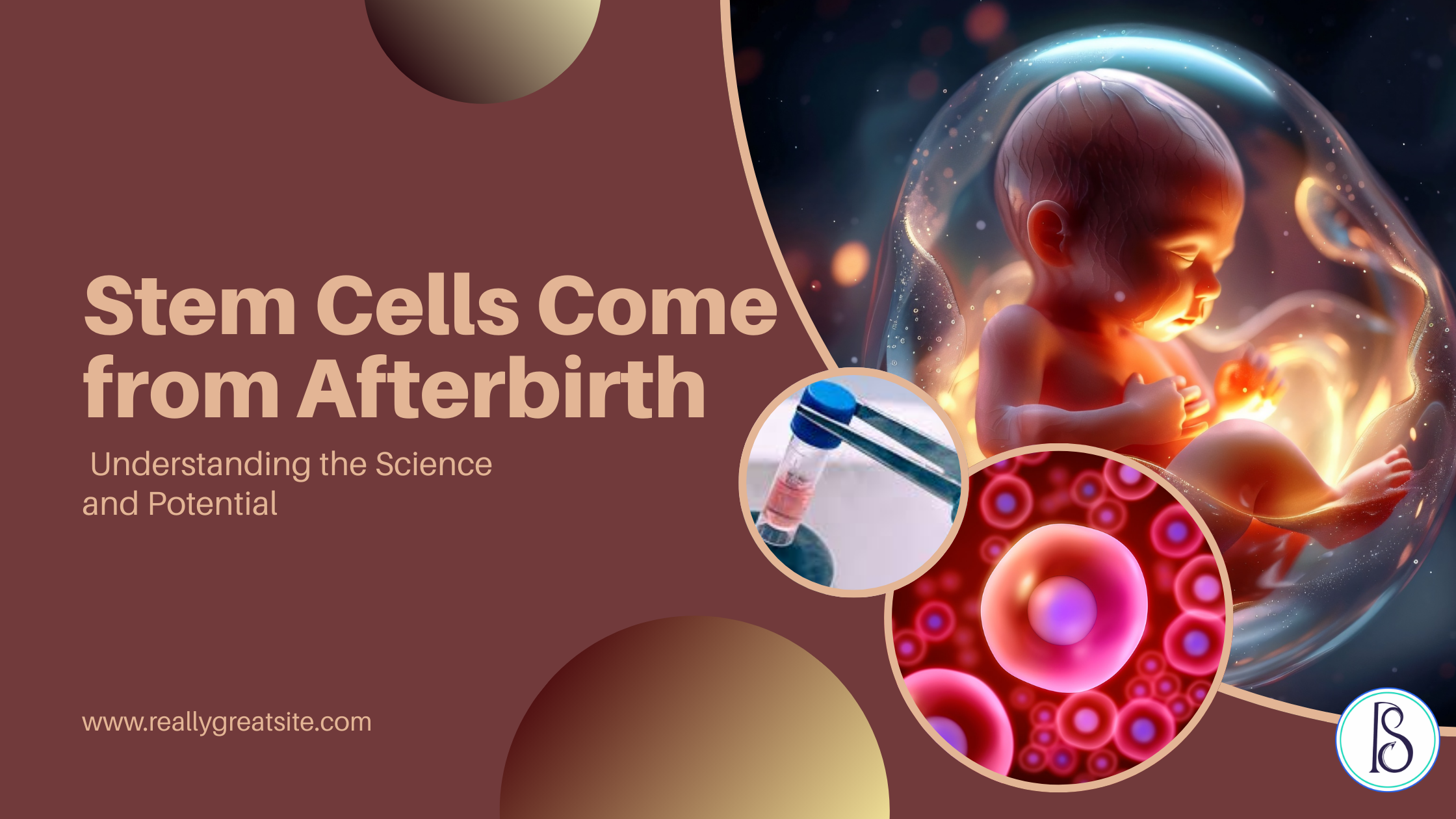 Stem Cells Come from Afterbirth: Understanding the Science and Potential