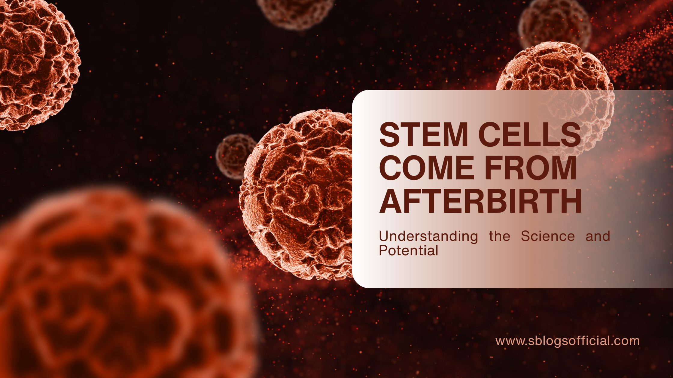 Stem Cells Come from Afterbirth: Understanding the Science and Potential